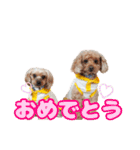 めいぽんまる3（個別スタンプ：30）