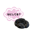 クロ ピンク（個別スタンプ：2）