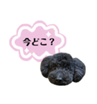 クロ ピンク（個別スタンプ：3）