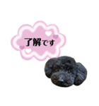 クロ ピンク（個別スタンプ：4）