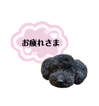 クロ ピンク（個別スタンプ：5）