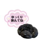 クロ ピンク（個別スタンプ：6）