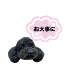 クロ ピンク（個別スタンプ：7）