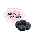 クロ ピンク（個別スタンプ：9）