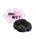 クロ ピンク（個別スタンプ：10）