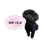 クロ ピンク（個別スタンプ：14）