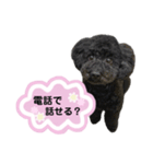 クロ ピンク（個別スタンプ：17）