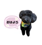クロ ピンク（個別スタンプ：18）