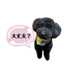 クロ ピンク（個別スタンプ：20）