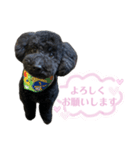 クロ ピンク（個別スタンプ：23）
