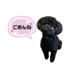 クロ ピンク（個別スタンプ：25）