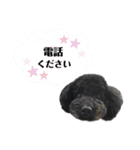 クロ ピンク（個別スタンプ：29）