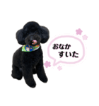 クロ ピンク（個別スタンプ：32）