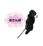 クロ ピンク（個別スタンプ：34）