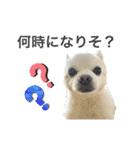 バニおじさんだよ（個別スタンプ：4）