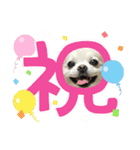 バニおじさんだよ（個別スタンプ：18）