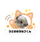 ラルフくんのいろいろ（個別スタンプ：2）