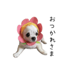 フィニたんと愉快な仲間たち（個別スタンプ：2）