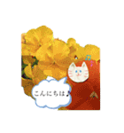 春のお花と猫ちゃん（個別スタンプ：4）