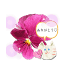 春のお花と猫ちゃん（個別スタンプ：35）