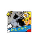 愛猫4匹娘。4（個別スタンプ：7）