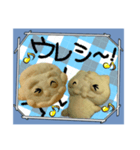 クッキーのパパとネコ2（個別スタンプ：15）