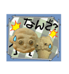 クッキーのパパとネコ2（個別スタンプ：17）