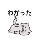 ぽっちゃりグレー猫(よく使う言葉)（個別スタンプ：33）