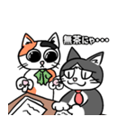 働く可愛い猫（個別スタンプ：1）