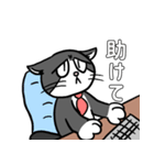 働く可愛い猫（個別スタンプ：7）