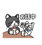 働く可愛い猫（個別スタンプ：11）