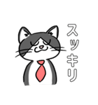 働く可愛い猫（個別スタンプ：13）