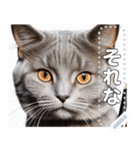 【ねこ】真顔のネコ☆文字変更自由（個別スタンプ：7）
