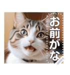 【ねこ】真顔のネコ☆文字変更自由（個別スタンプ：11）