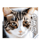 【ねこ】真顔のネコ☆文字変更自由（個別スタンプ：15）