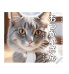 【ねこ】真顔のネコ☆文字変更自由（個別スタンプ：17）