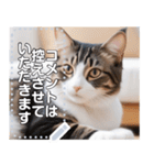 【ねこ】真顔のネコ☆文字変更自由（個別スタンプ：19）