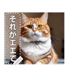 【ねこ】真顔のネコ☆文字変更自由（個別スタンプ：22）