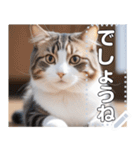 【ねこ】真顔のネコ☆文字変更自由（個別スタンプ：23）