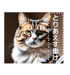 【ねこ】真顔のネコ☆文字変更自由（個別スタンプ：24）