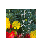 言葉のおくりもの（個別スタンプ：37）