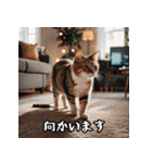 敬語を話す猫（個別スタンプ：3）