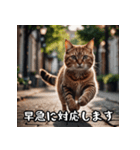 敬語を話す猫（個別スタンプ：4）