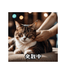 敬語を話す猫（個別スタンプ：5）