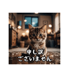 敬語を話す猫（個別スタンプ：7）