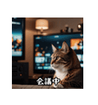 敬語を話す猫（個別スタンプ：10）