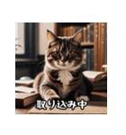 敬語を話す猫（個別スタンプ：11）