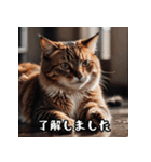 敬語を話す猫（個別スタンプ：13）