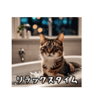 敬語を話す猫（個別スタンプ：14）