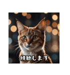 敬語を話す猫（個別スタンプ：16）